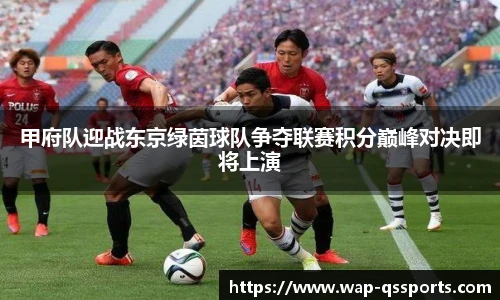 甲府队迎战东京绿茵球队争夺联赛积分巅峰对决即将上演